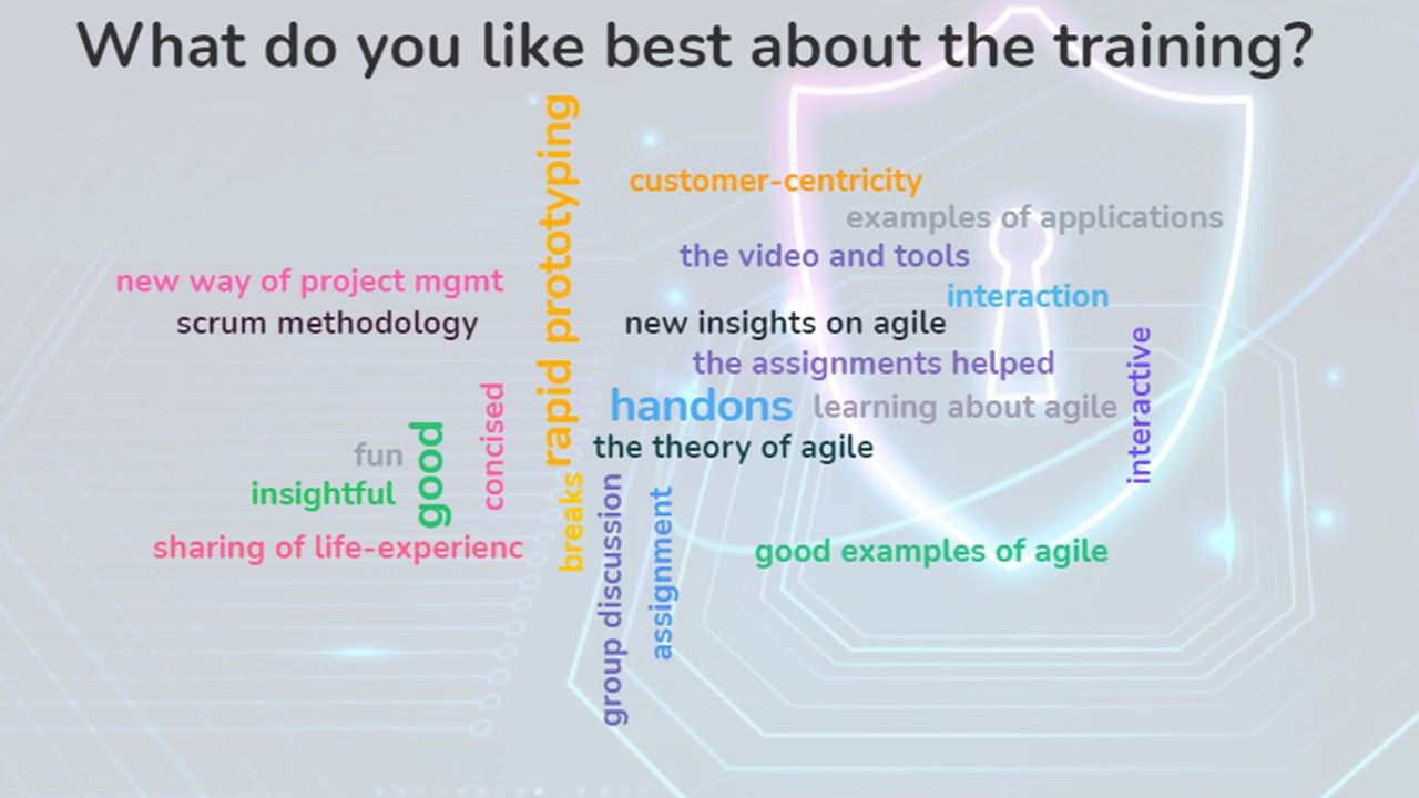 Agile for Successful Project Implementation - Nov 2 - 3, 2021
