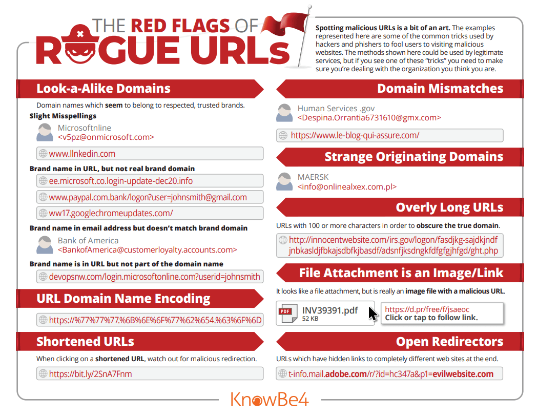 The Red Flags of Rogue URLs